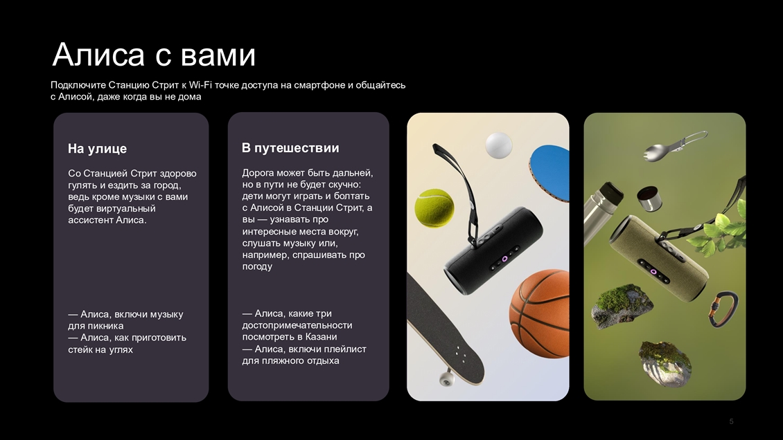 Алиса в путешествии
