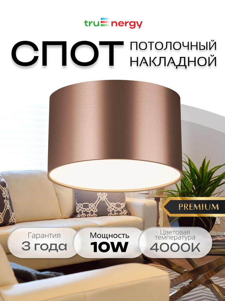 основная