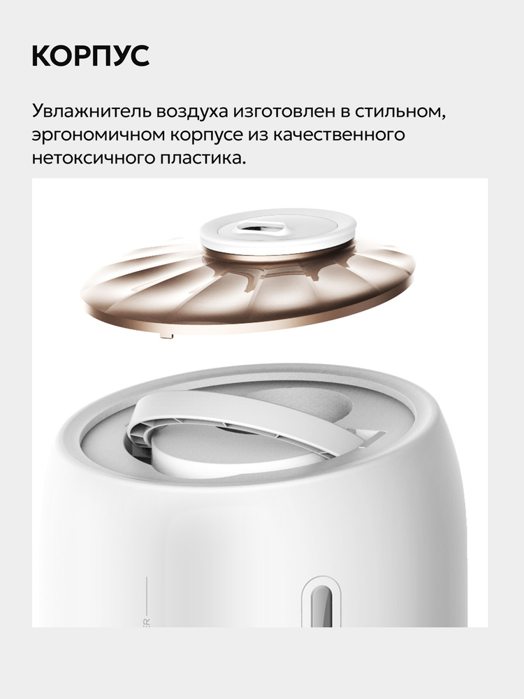 корпус
