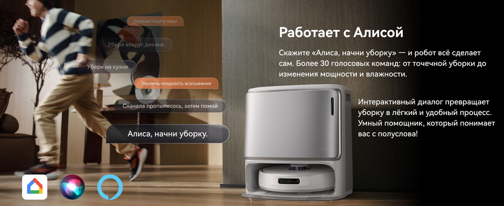 работает с алисой