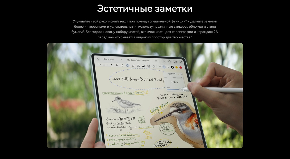 Эстетичные заметки