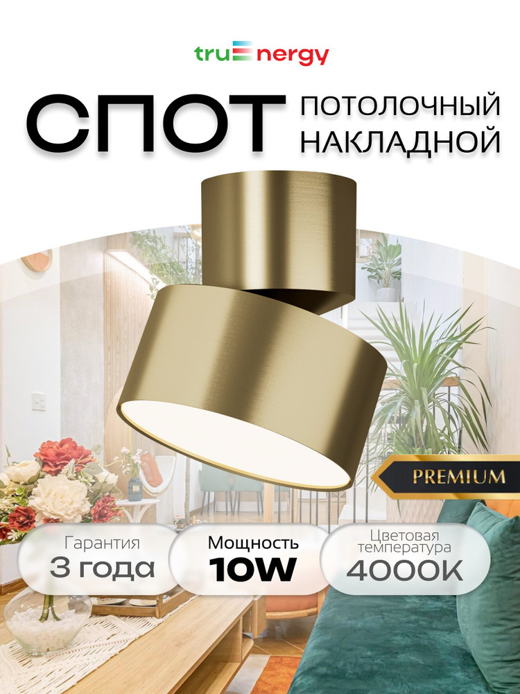основная