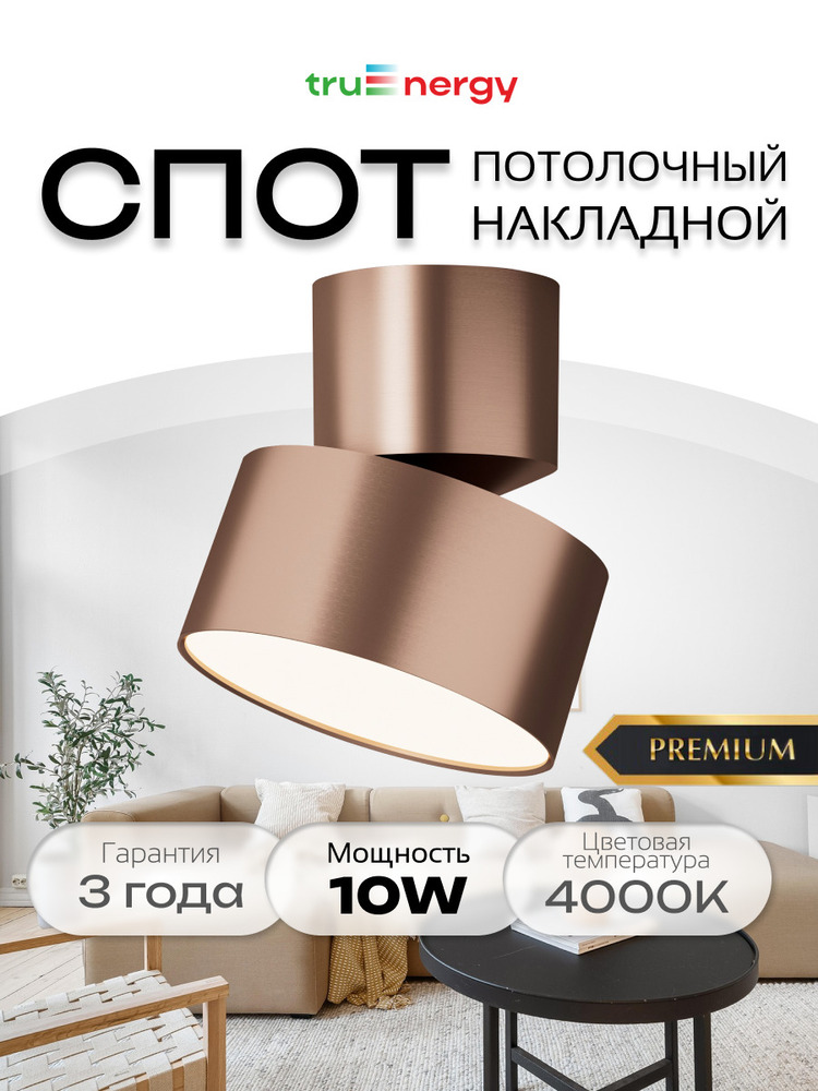 основная