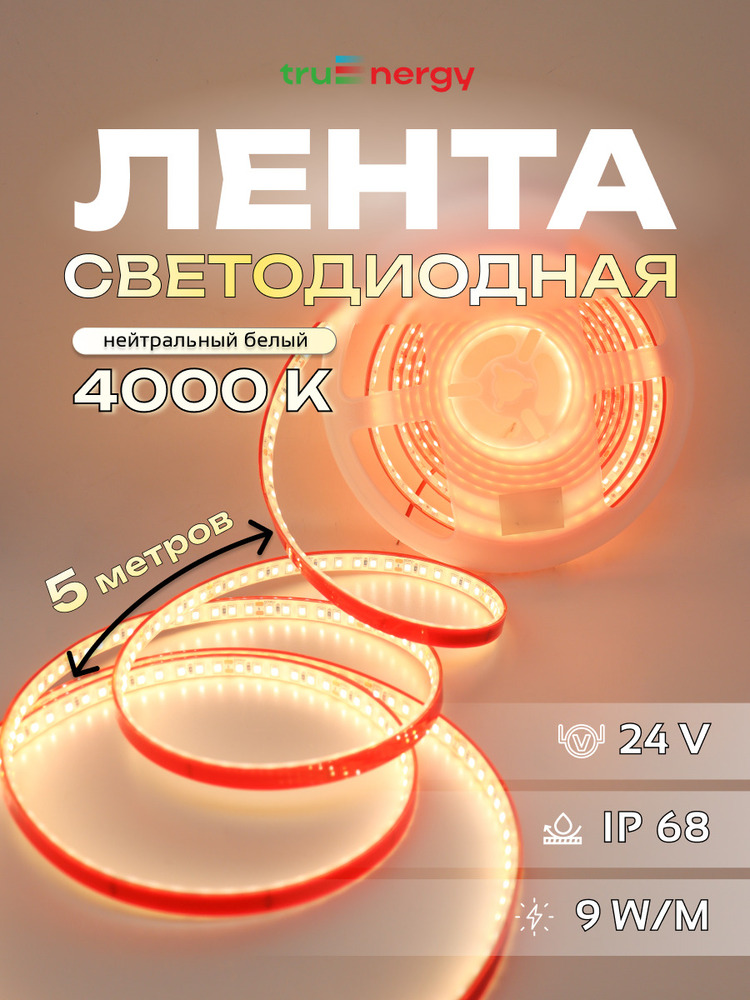 основная