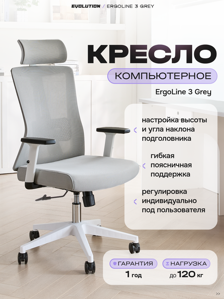 основная
