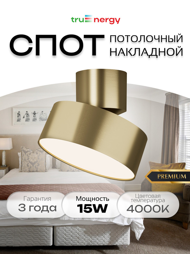 основная