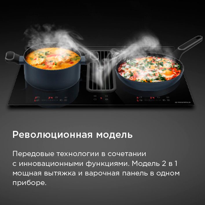 революционная модель