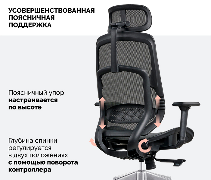 поддержка поясницы