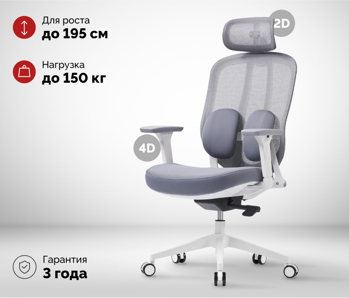 основная
