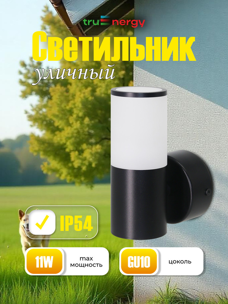 основная