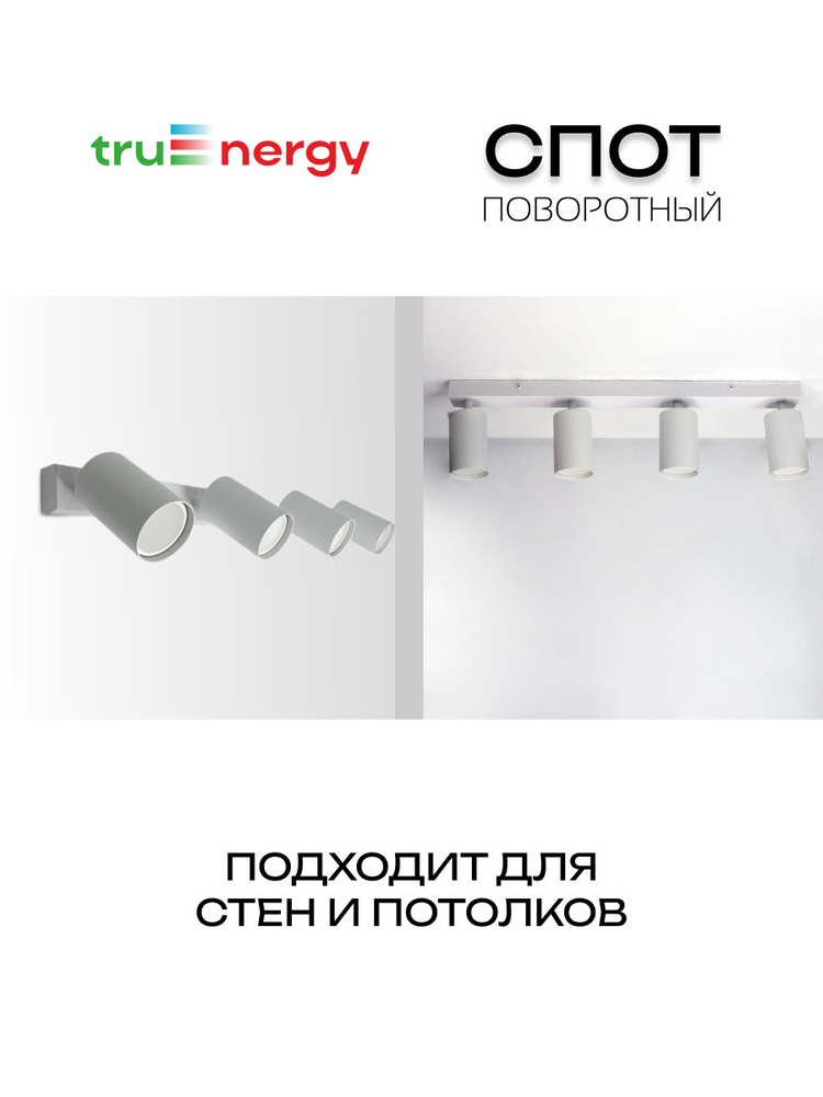 основная