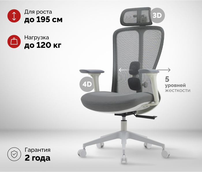основная