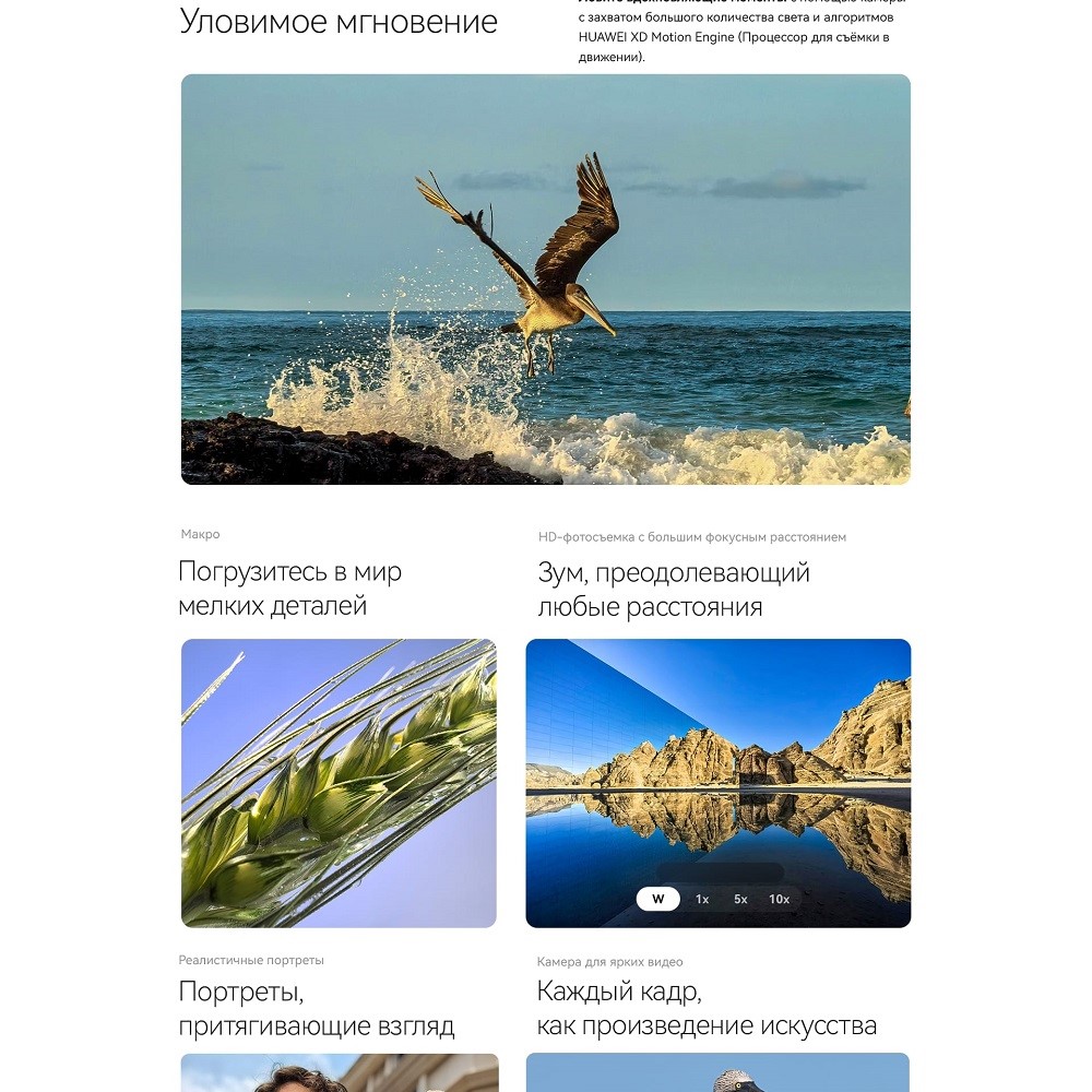 Функция портрет