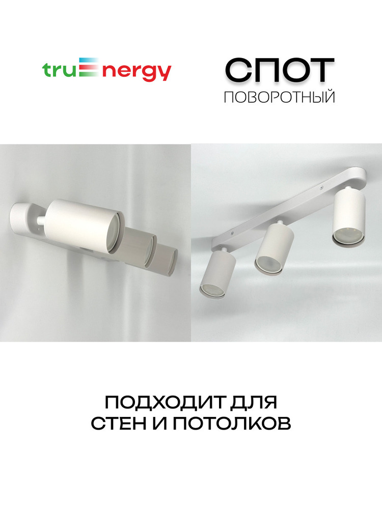 основная