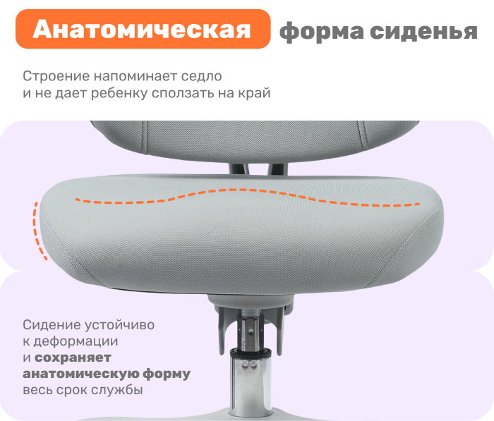 анатомическая форма