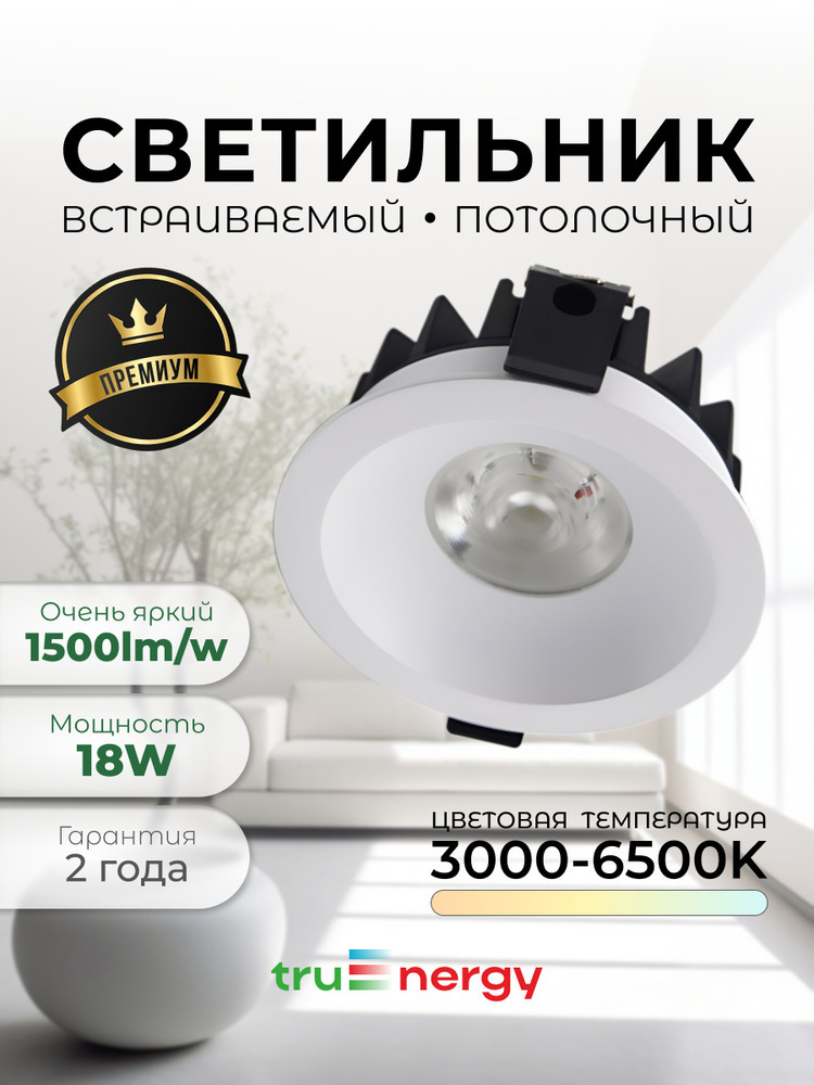 основная