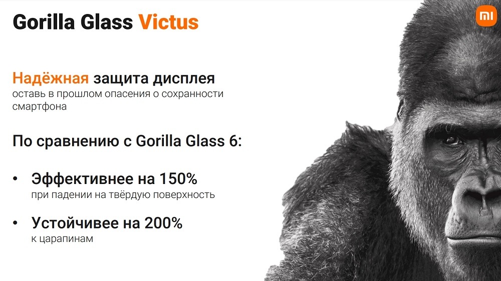 Gorilla Glass Victus