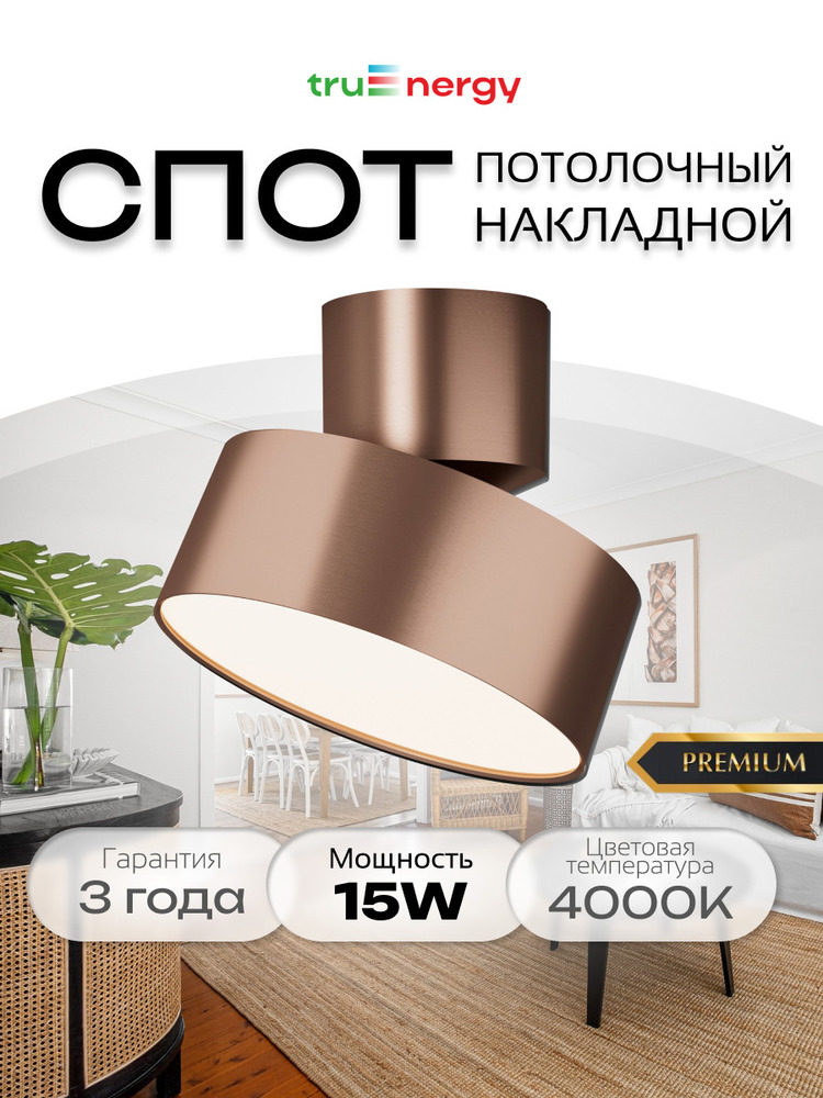 основная