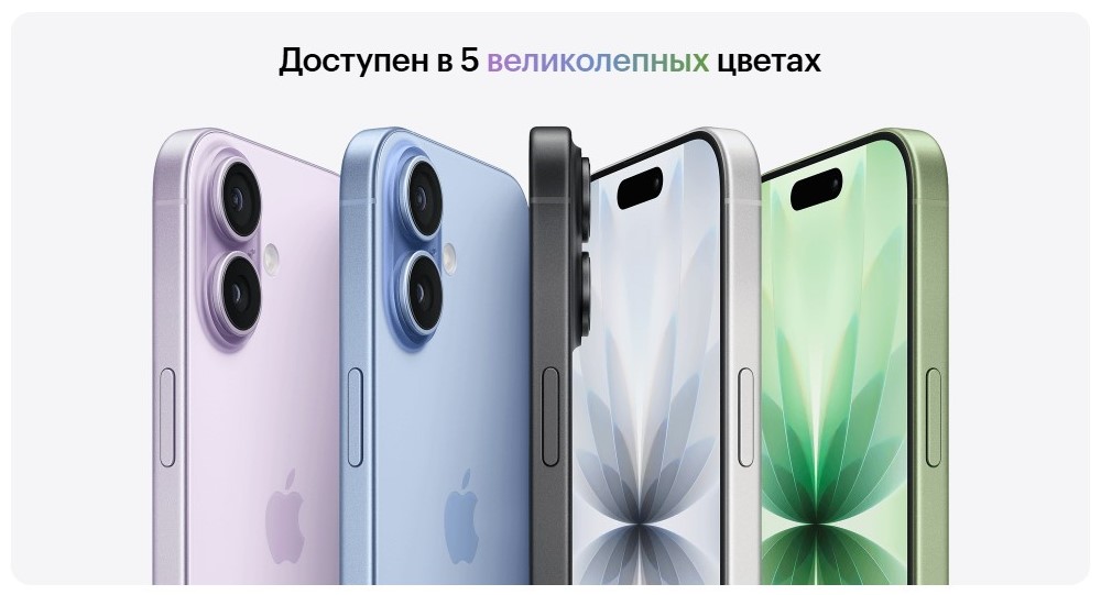 5 цветов