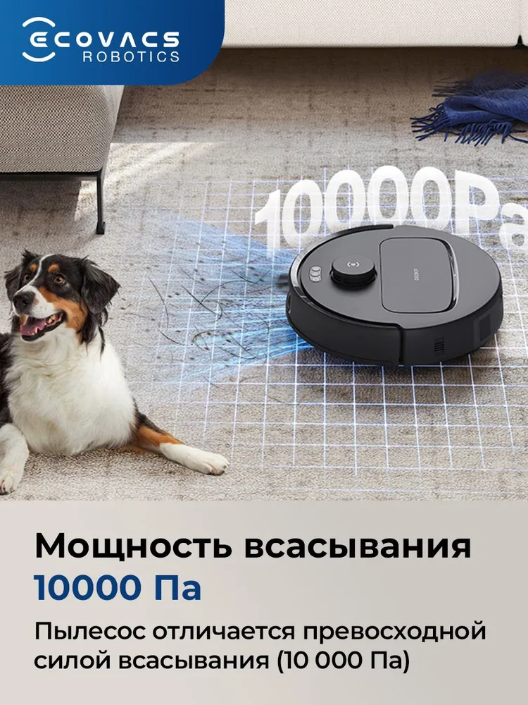 мощность всасывания 10000