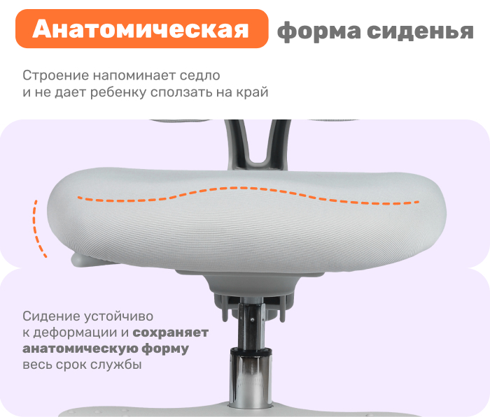 анатомическая форма
