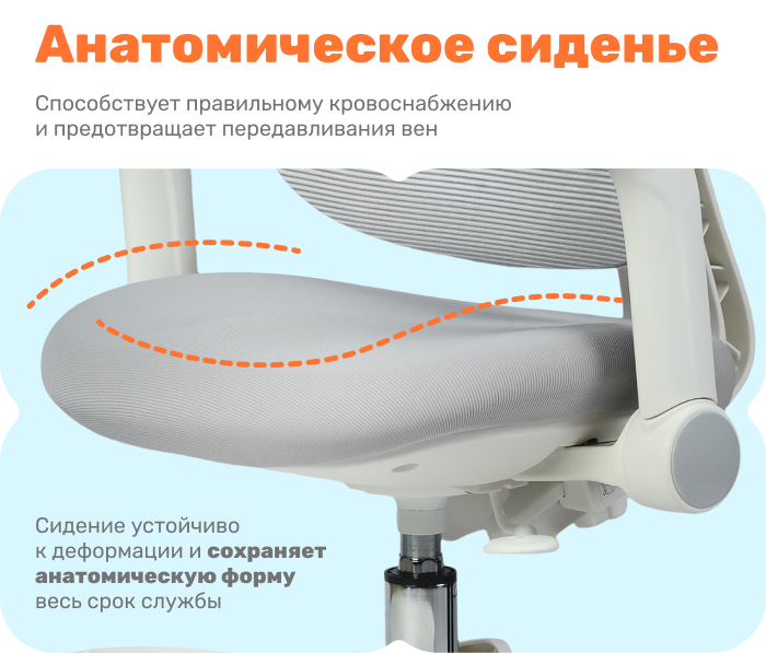 анатомические сиденье