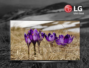 Скидки на телевизоры LG Скидки на телевизоры LG